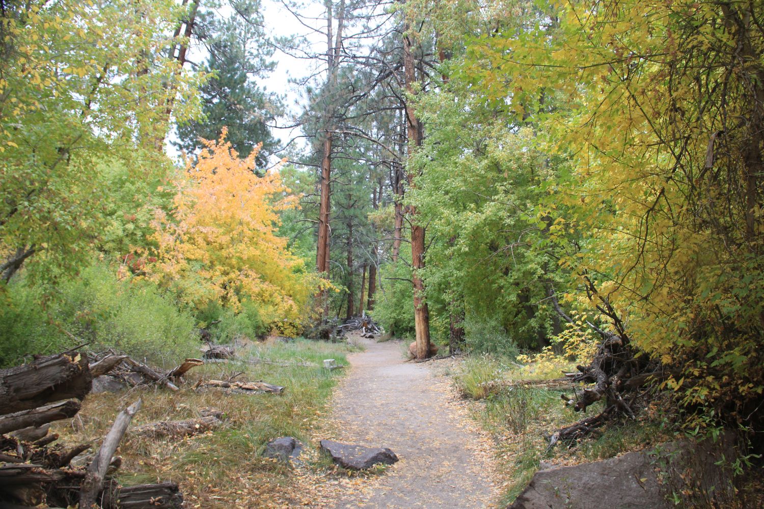 Bandalier National Monument 